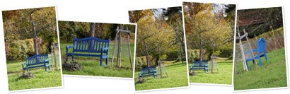 Cheatpatrols Sicht: blaue Gartenbank